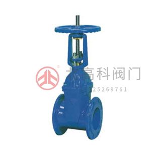 Z45X-10、Z45X-16 彈性座封閘閥
